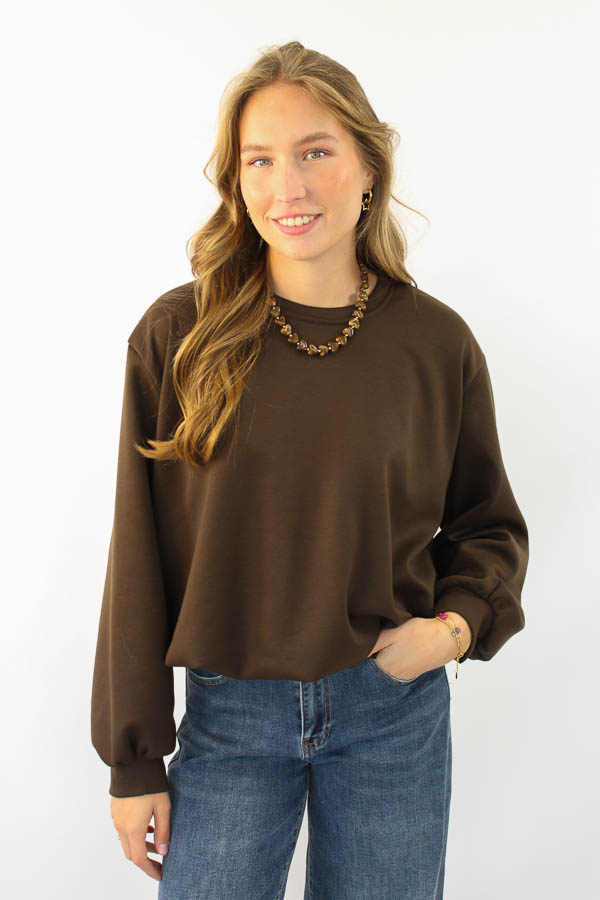 Balloon top bruin | Feline