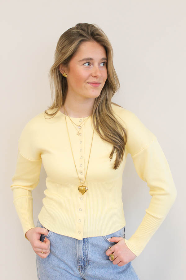 Fitted waist vest geel | Amélie