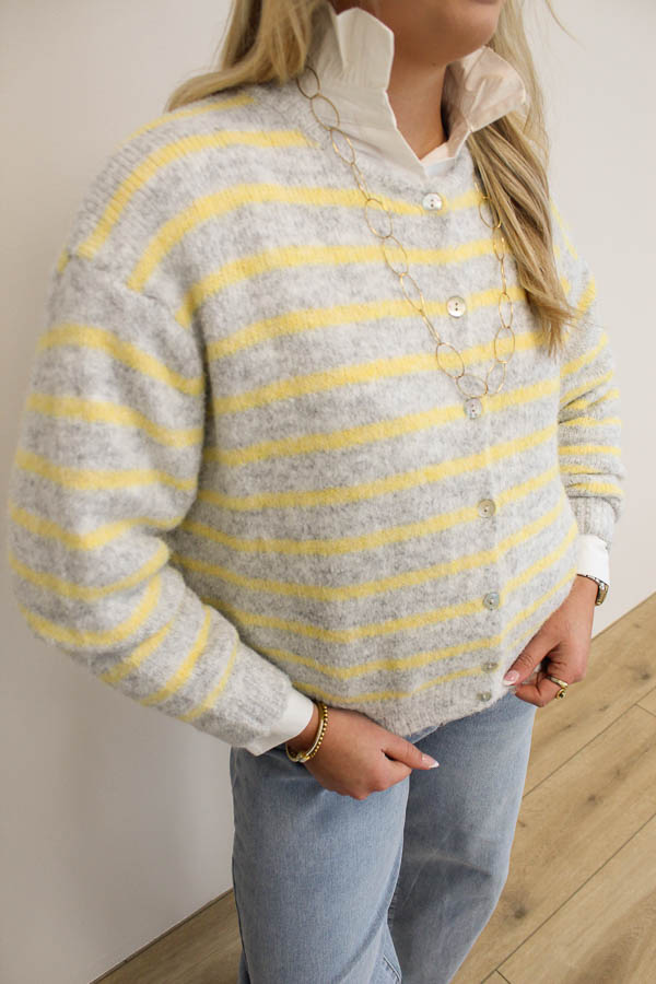 Gebreid vest grijs | Emily