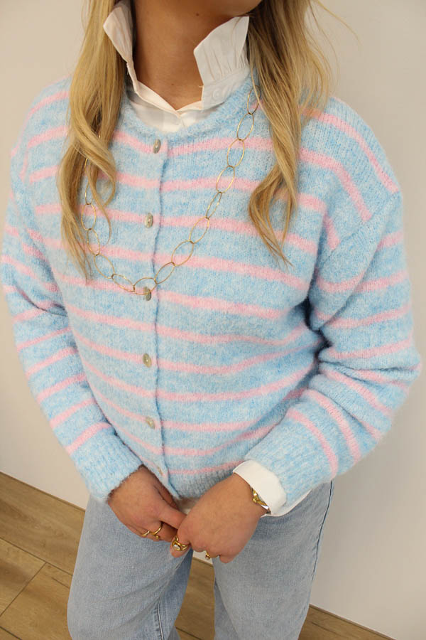 Gebreid vest lichtblauw | Emily