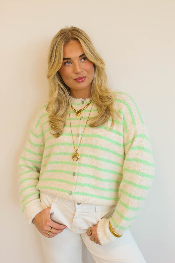 Gebreid vest mint | Emily