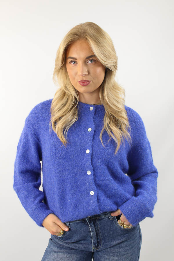 Gebreide vest blauw | Amelie