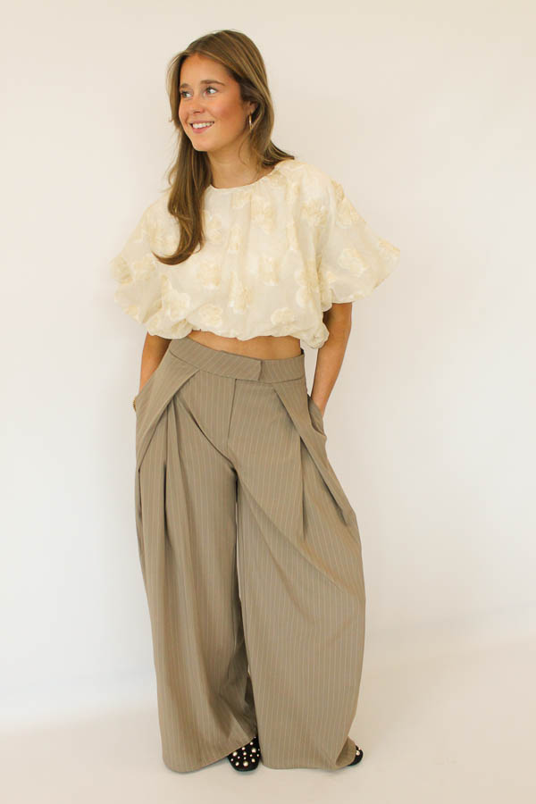 Pantalon plooi taupe | Strepen