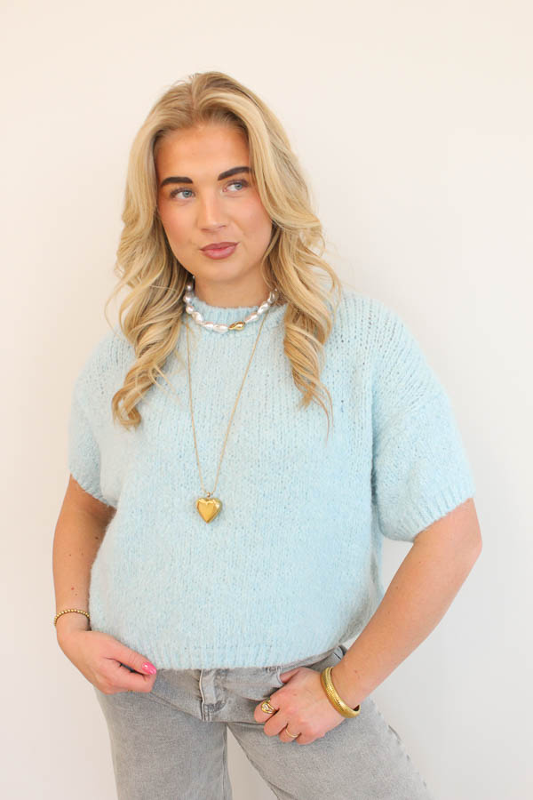 Trui korte mouw blauw | Maje