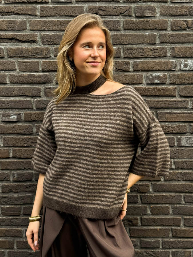 Trui strepen bruin | Daniek 
