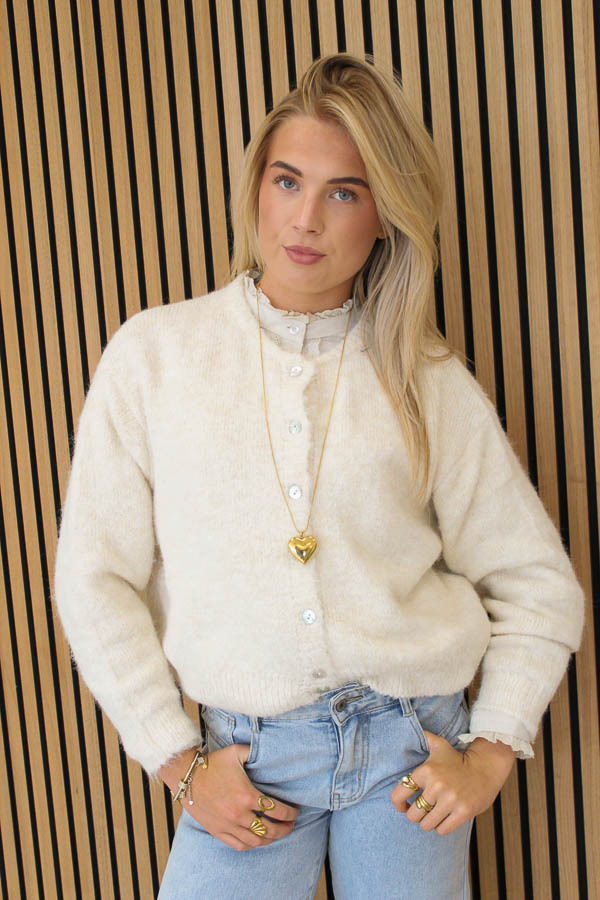 Gebreid_vest_bordeaux_-_Lilly_3-5818