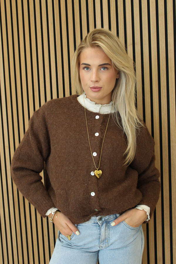 Gebreid_vest_choco_-_Lilly-5805